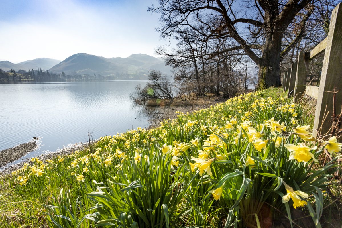 Visit the Lake District in April and May